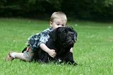 ENFANT ET CHIEN 507